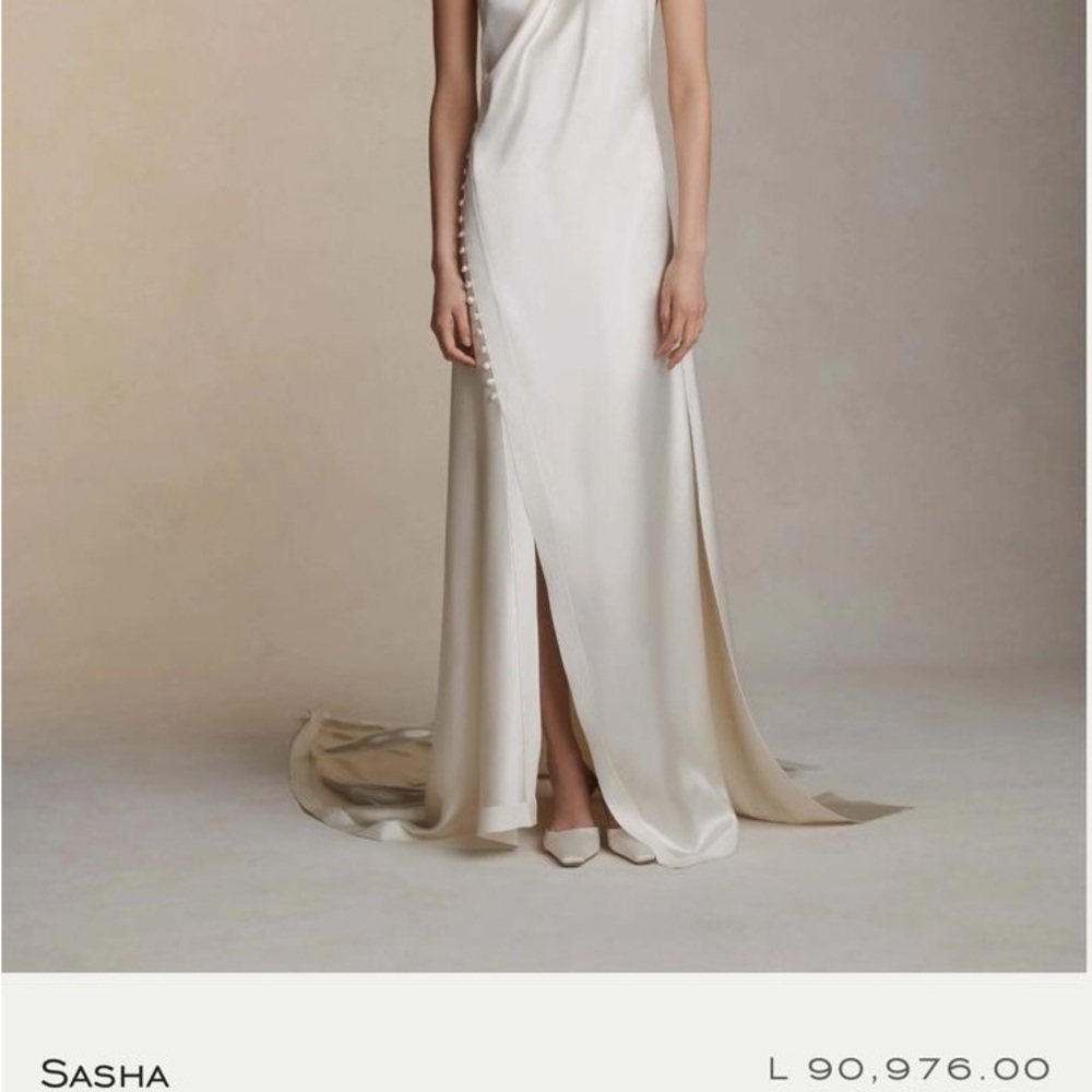 Danielle Frankel Sasha Gown Used Once